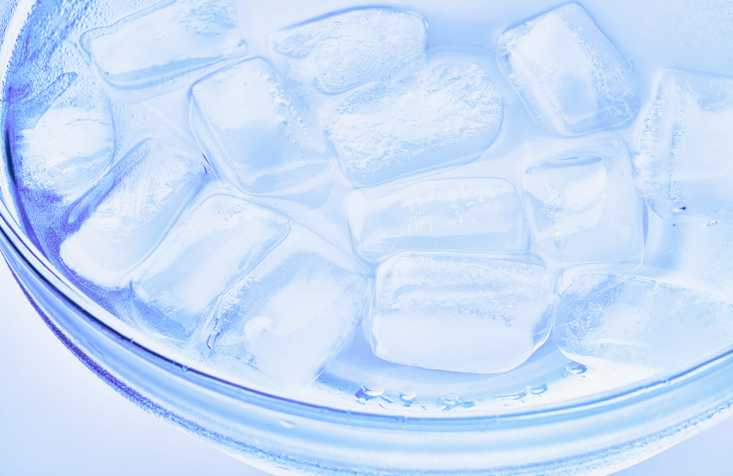 ナマコを冷水で締める様子