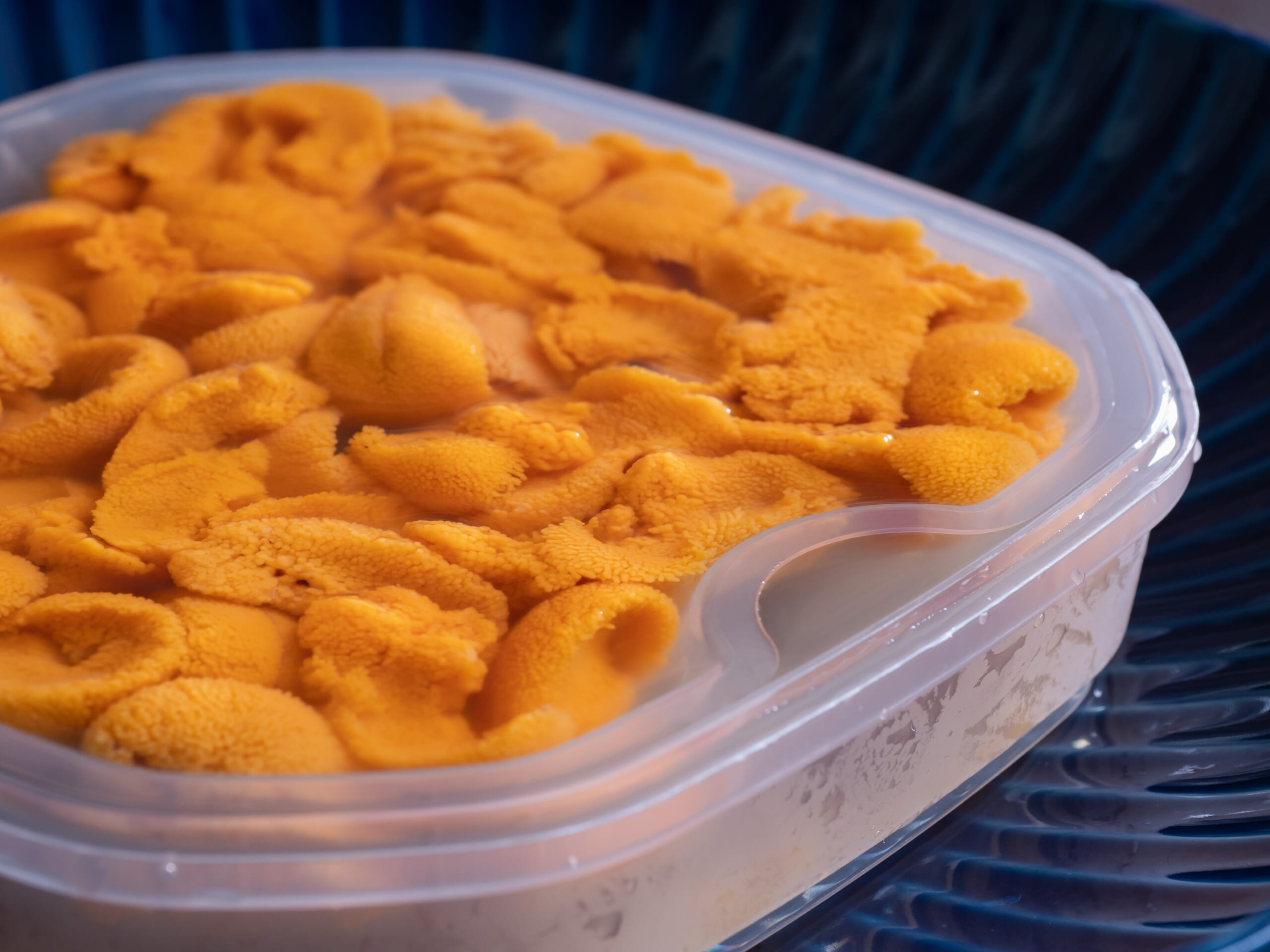 厳選 国産生ウニ