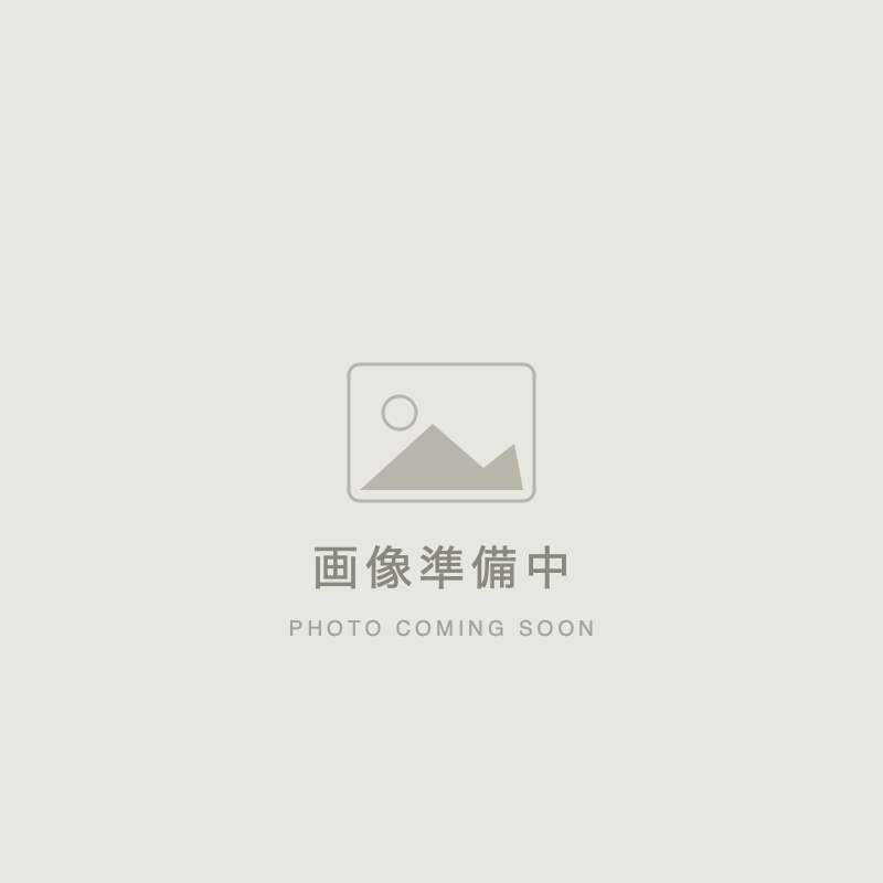 塩蔵なまこ